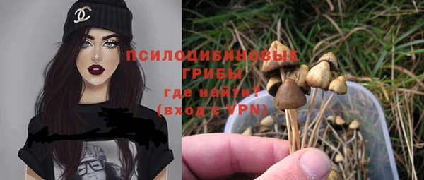 гидропоника Гусев