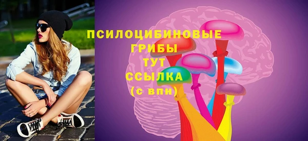 гидропоника Гусев