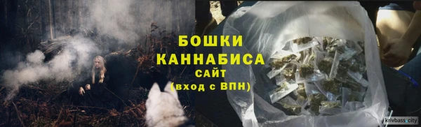 сатива Гусиноозёрск
