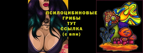 сатива Гусиноозёрск