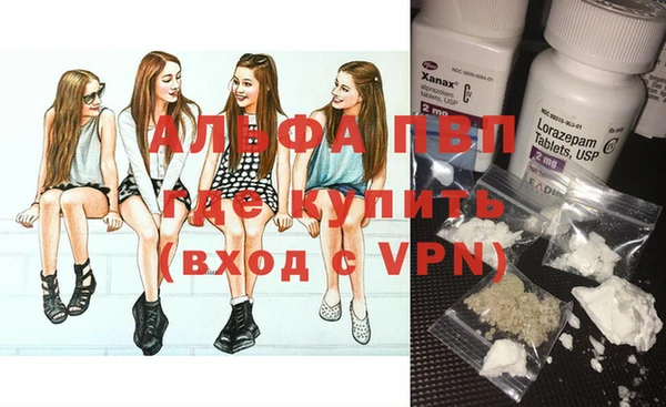 сатива Гусиноозёрск