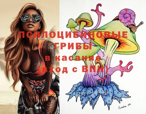 сатива Гусиноозёрск