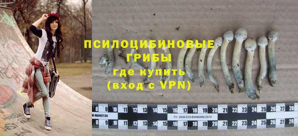 сатива Гусиноозёрск